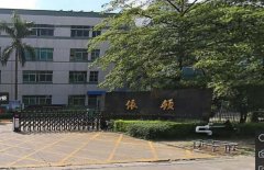 �ɹ����s���D��ӝ���܇�g�Ŀ