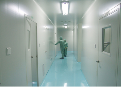 ��ˎ�S��GMP����܇�g��