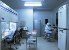 �ټ��������